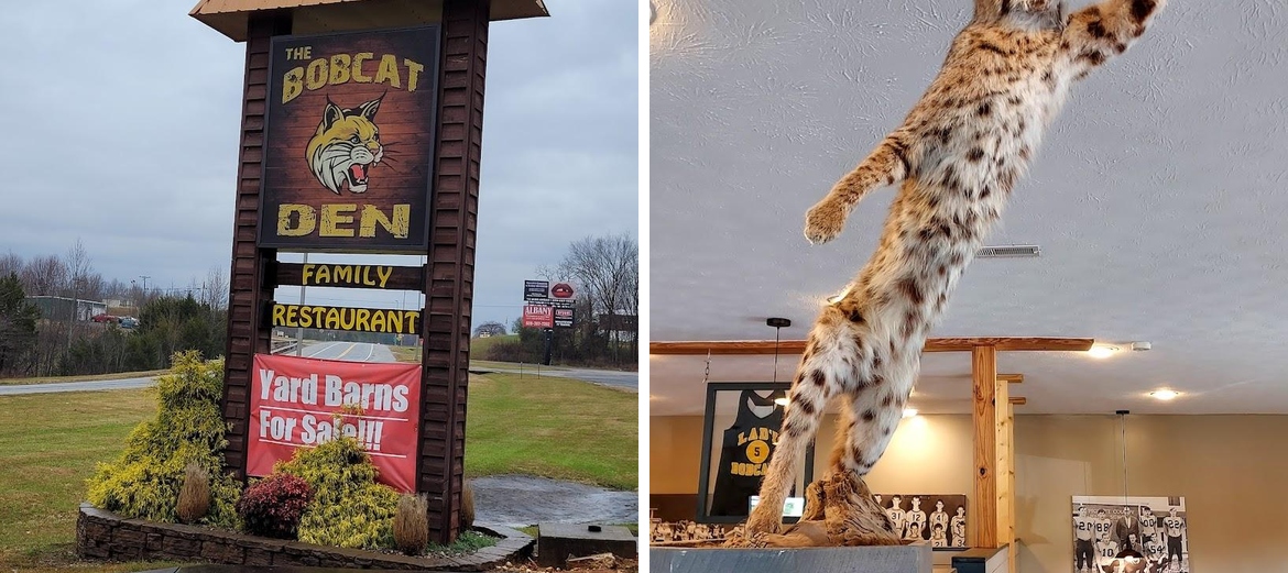Bobcat Den Menu